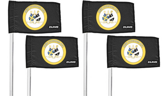 Custom Corner Flags x4